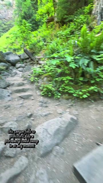 @Multnomah Falls Adventures