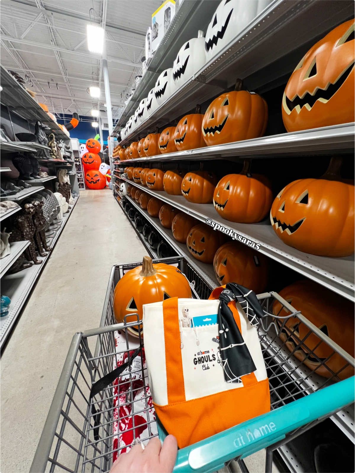 @Spooky Sara🦇🎃