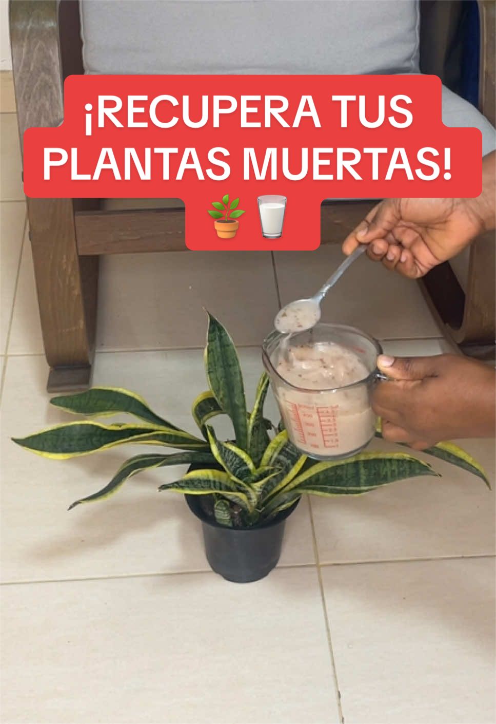 @Recetas y M&aacute;s con Joel