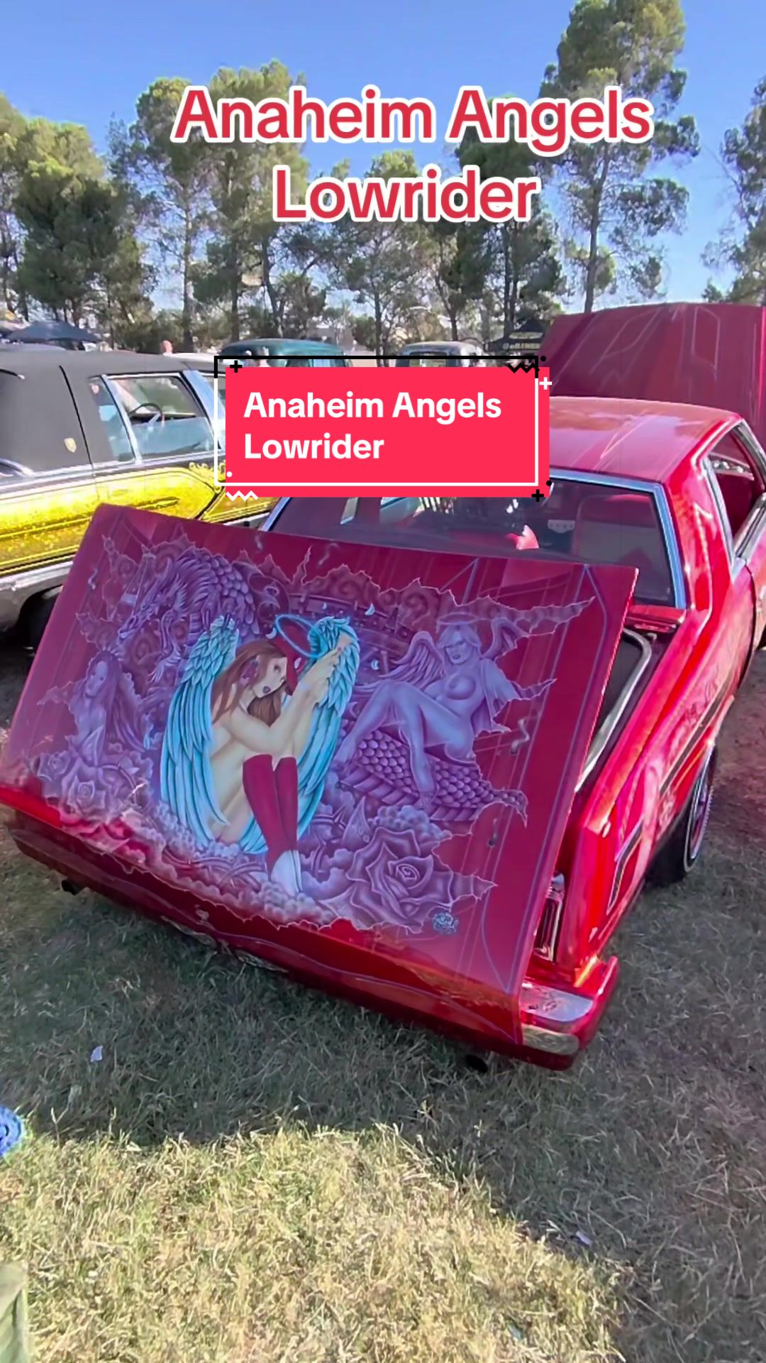 @Lowrider Culture Best Buy’s