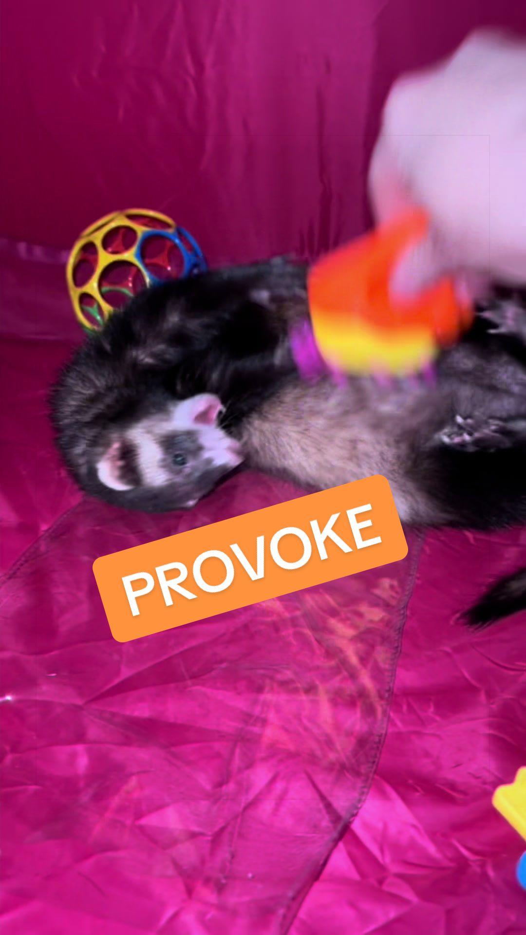 @Veritologic