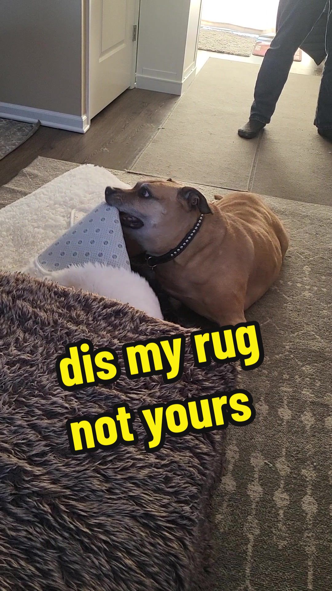 @Butkus