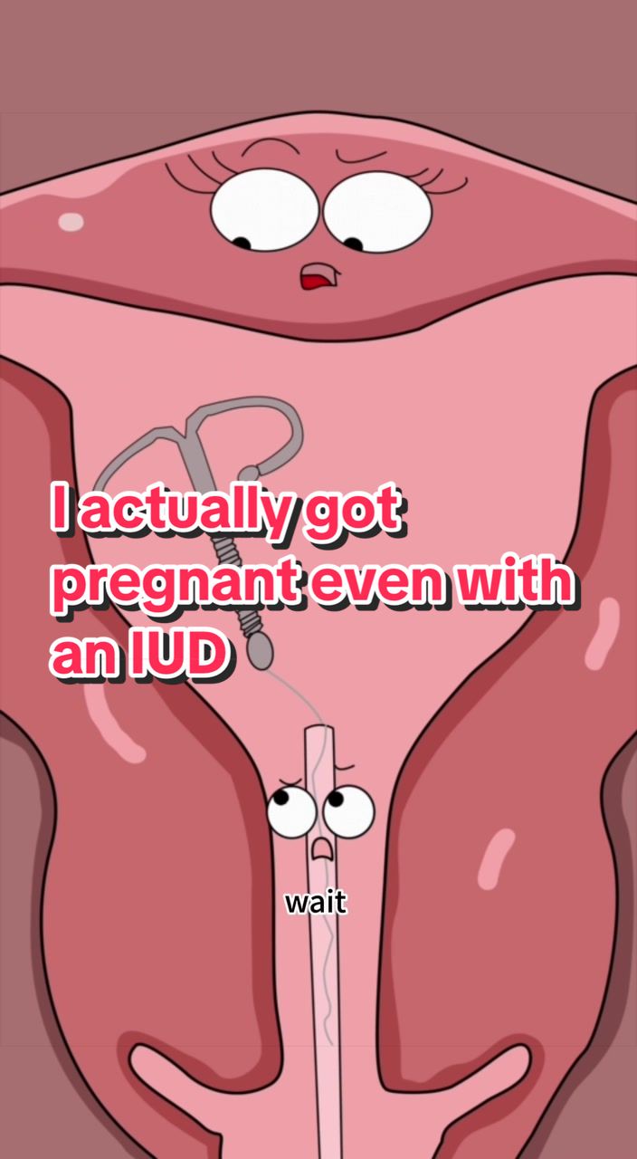 @Funny Animations