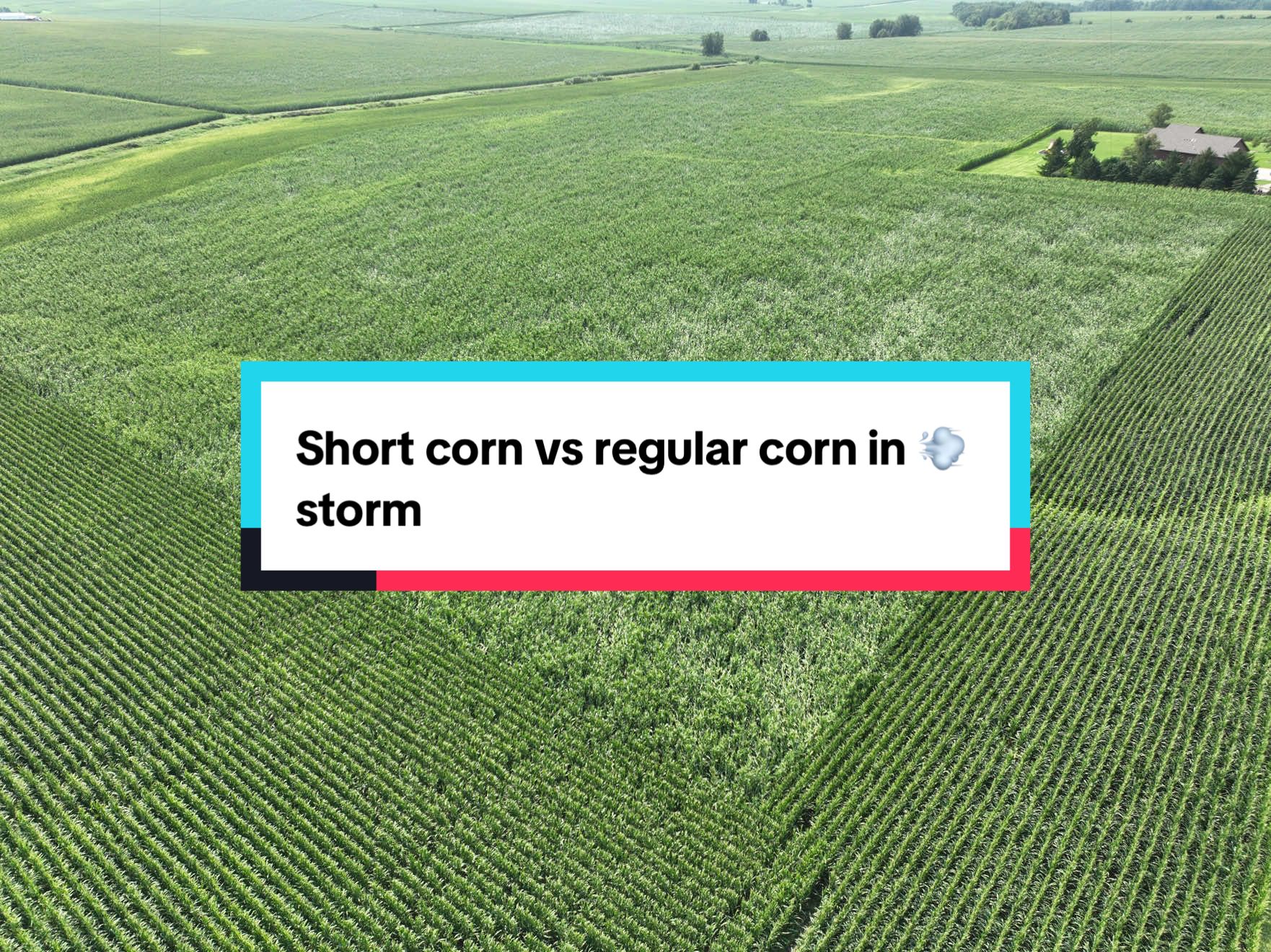 @jordynburcofarm