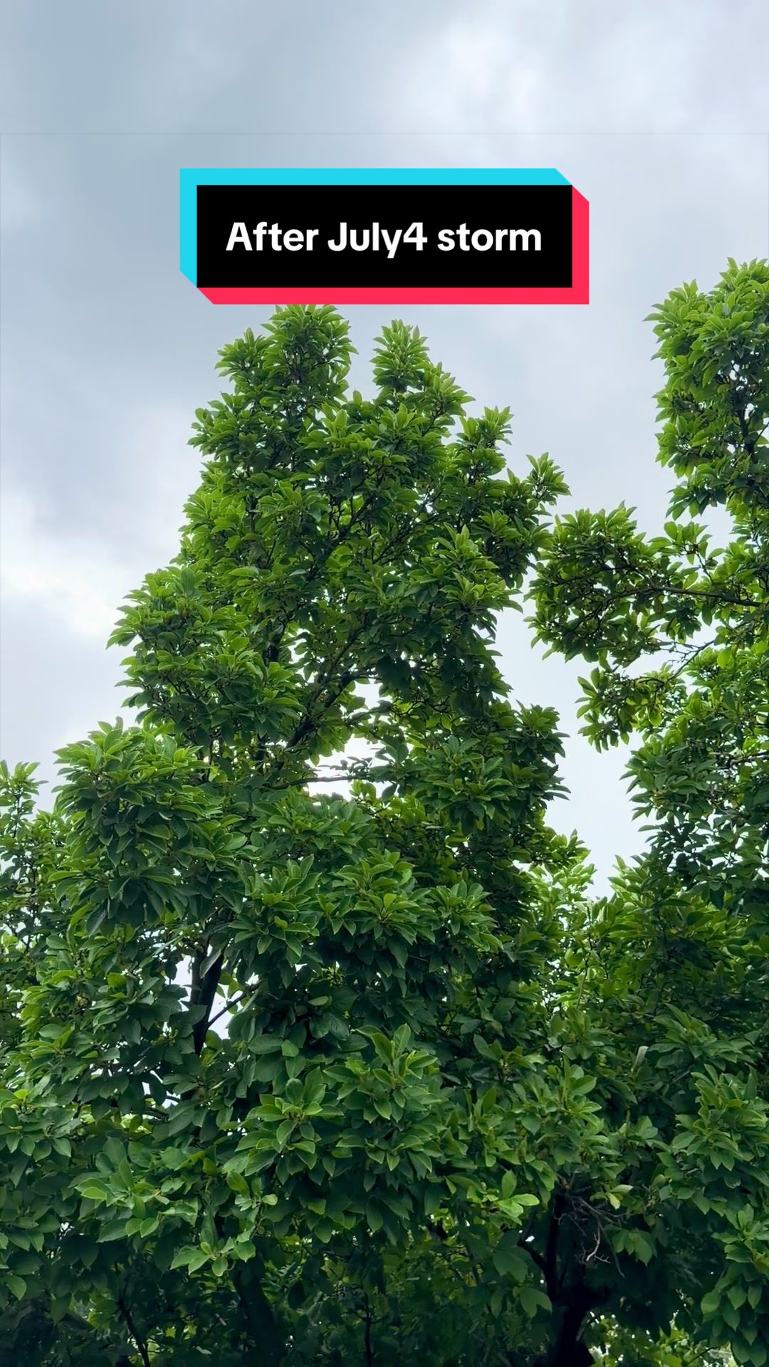 @💰৳&yen;$🏡₲&pound;රු₩☔