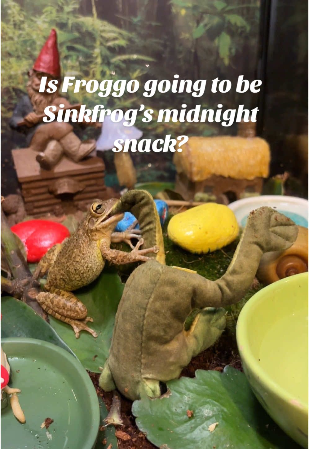 @originalSinkfrog