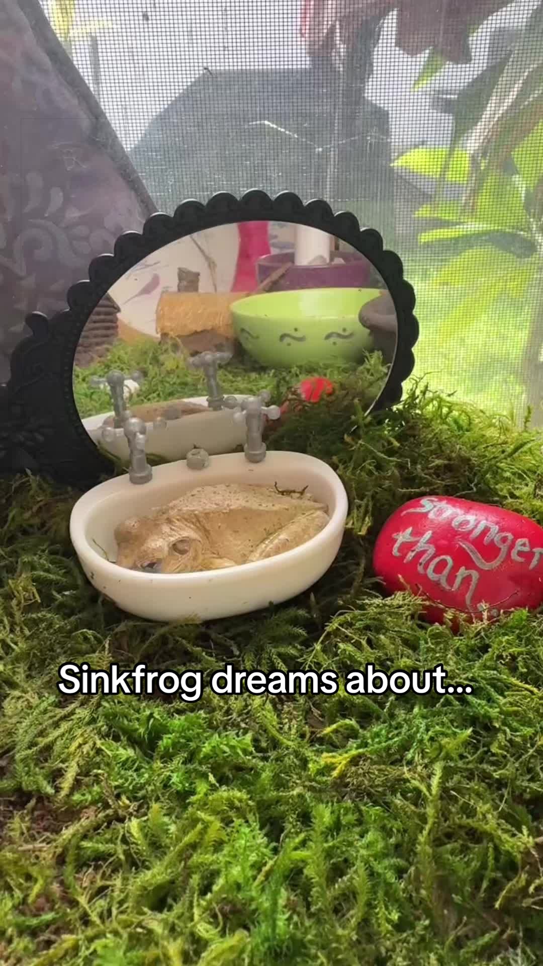 @originalSinkfrog