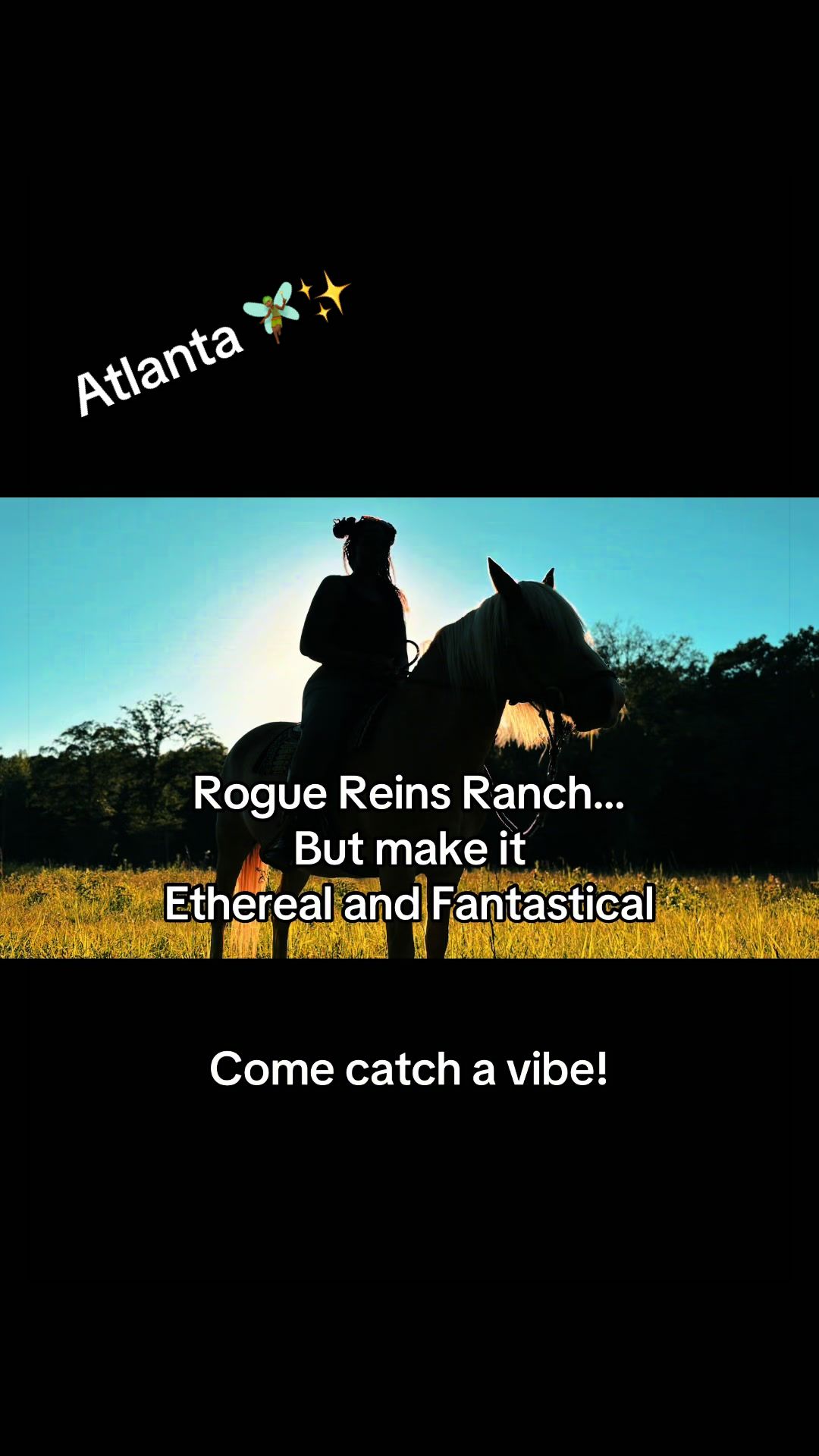 @Rogue Reins