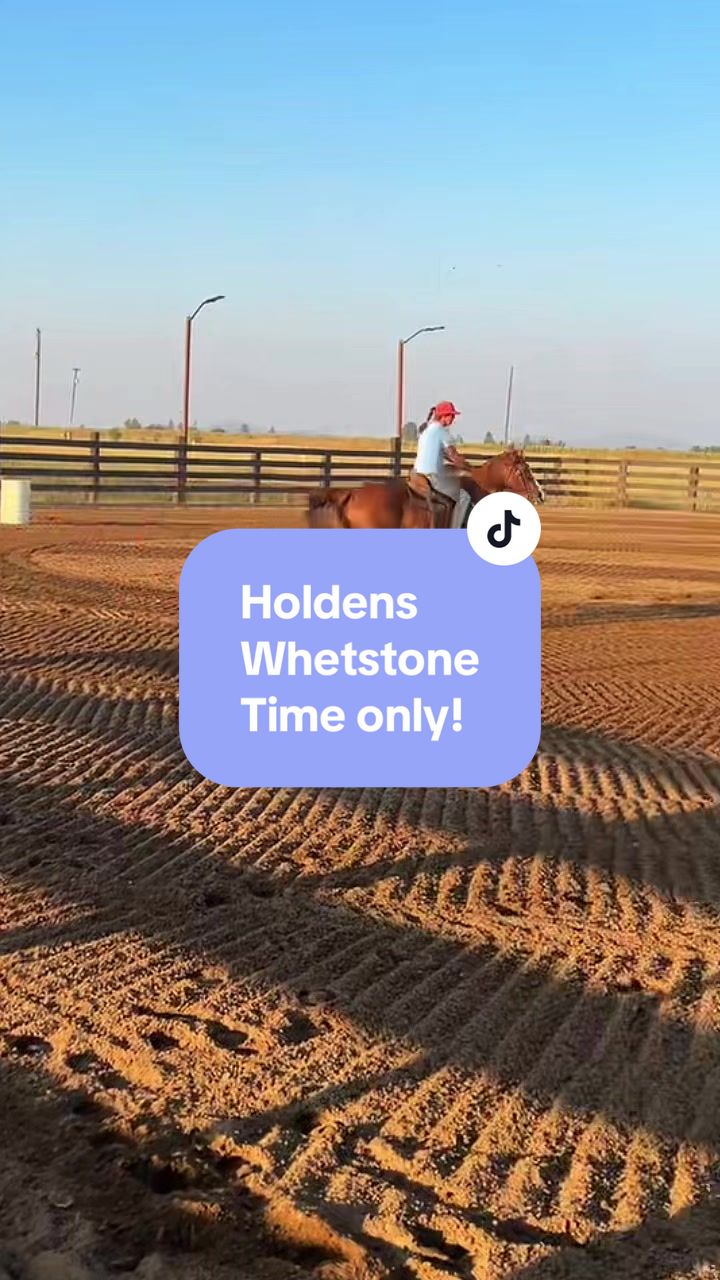 @Supercharge Performance Horses