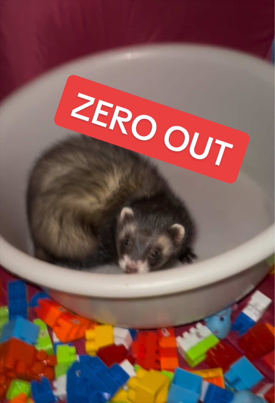 @Veritologic