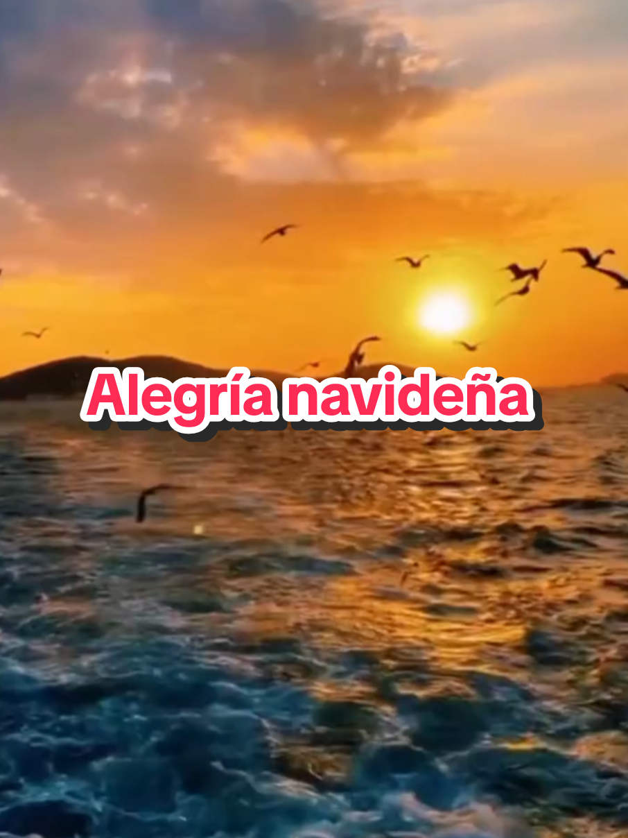 @Mayra Feliz