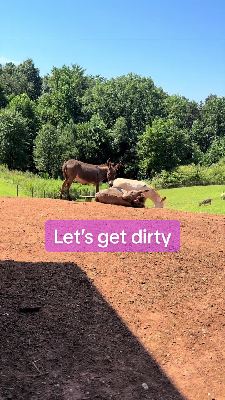 @Marci On The Farm