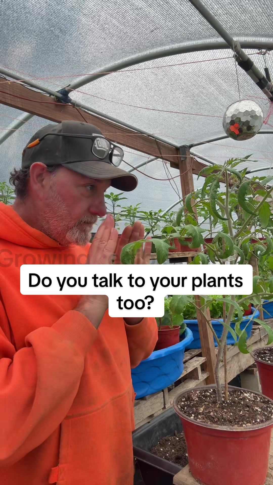 @GROWING_EDIBLE_PLANTS