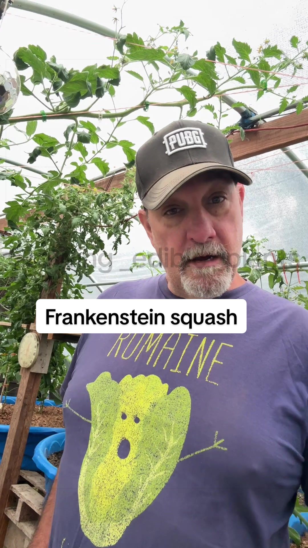 @GROWING_EDIBLE_PLANTS