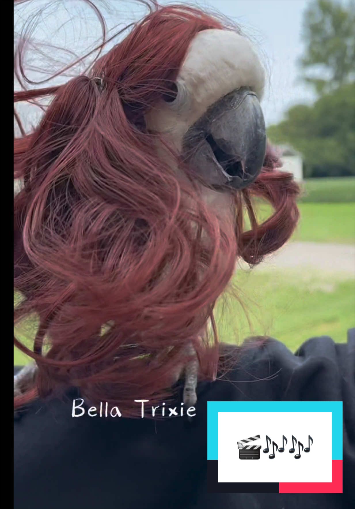 @bella_trixie_unleashed