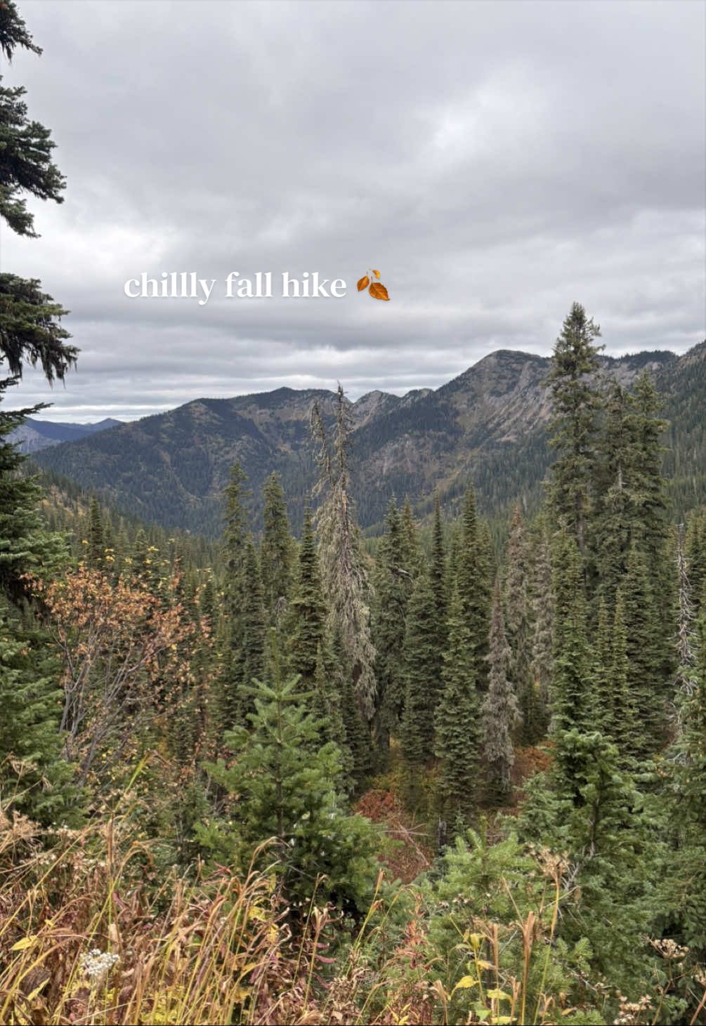@Lucy ⛰️✨🌲