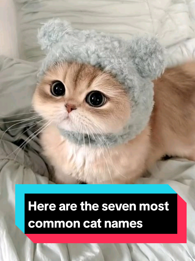 @The pet post