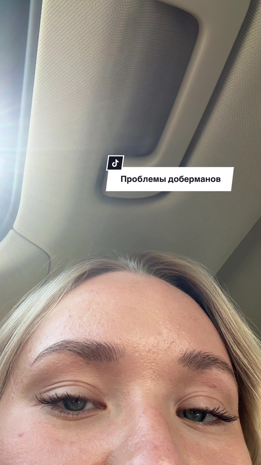 @Инна | Беркут