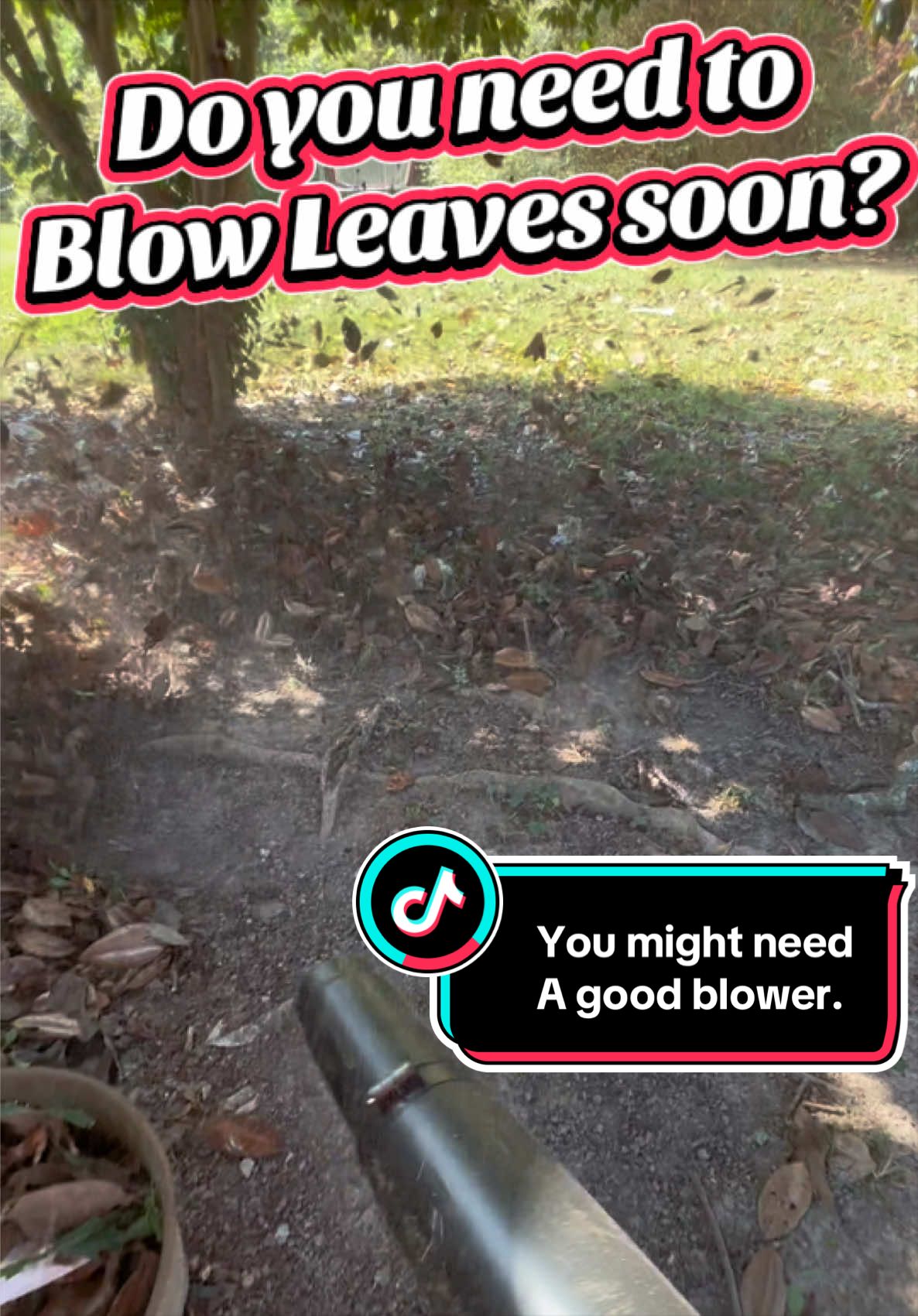 @MrLawnGuy