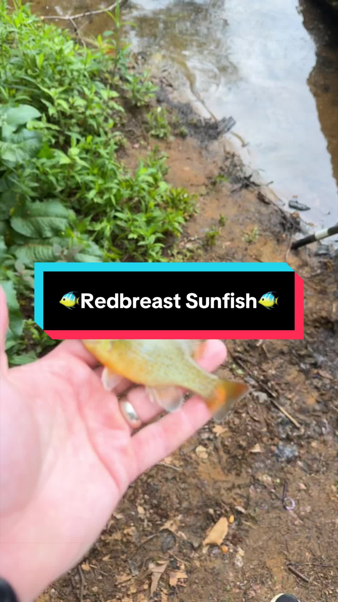 @fb1fishing