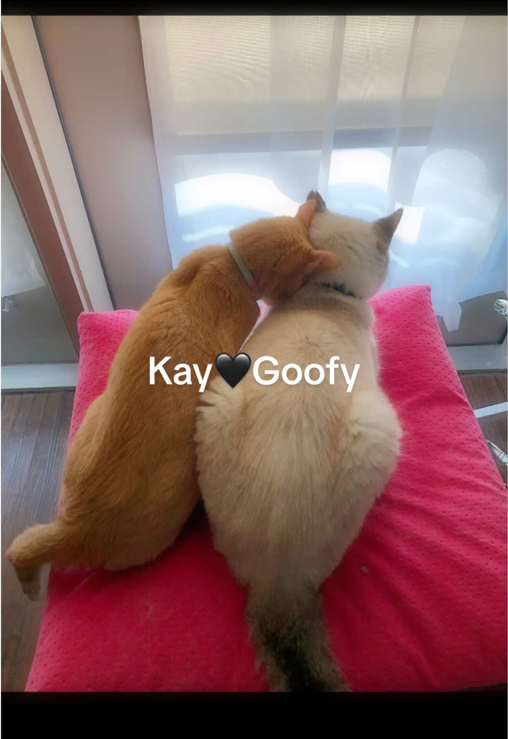 @Kay