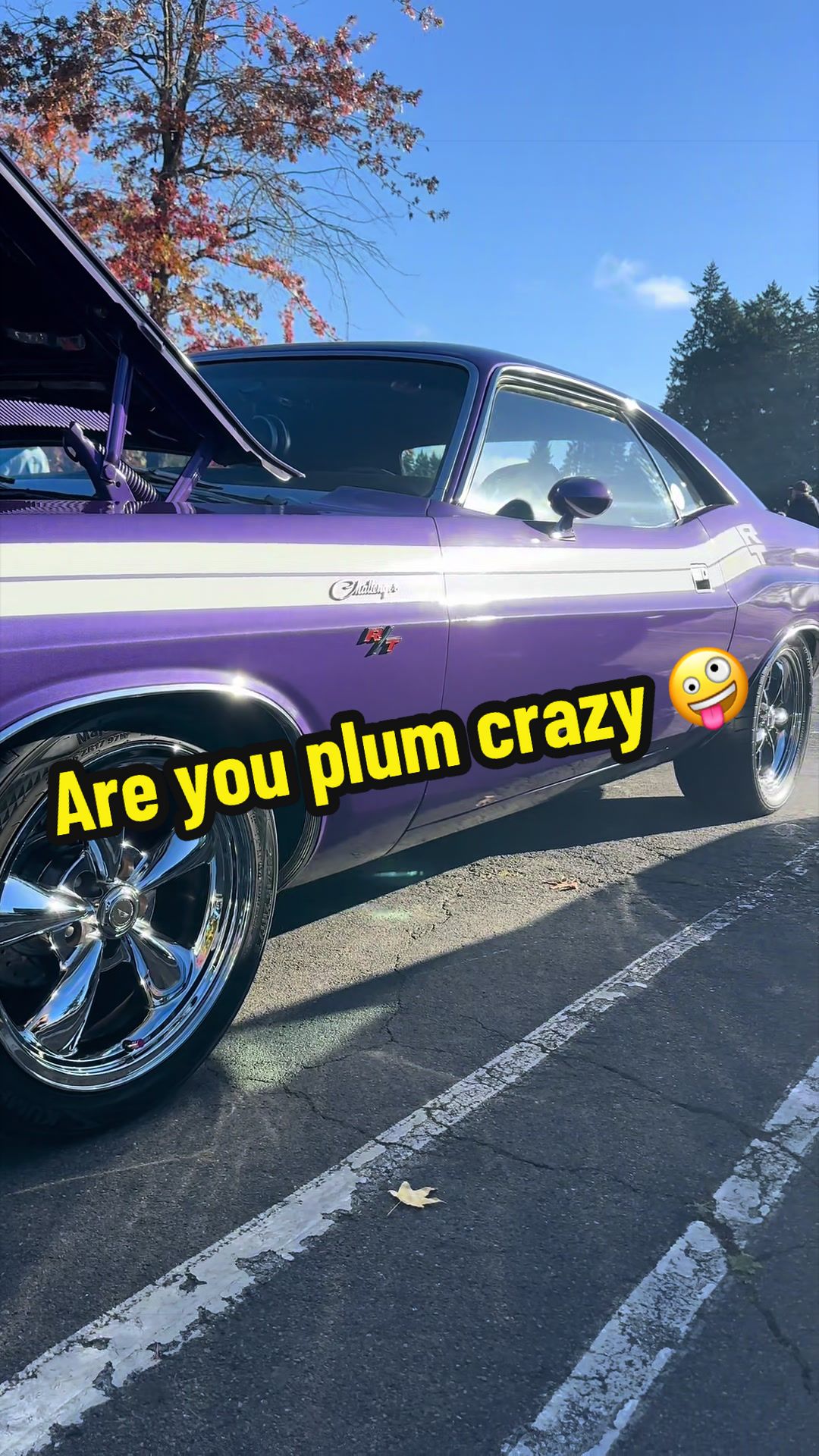 @V8 Vibes
