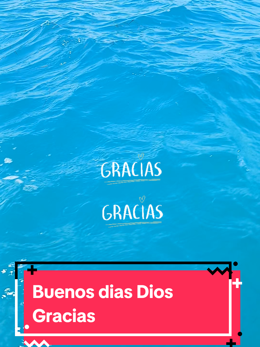 @vvdiasdplaya