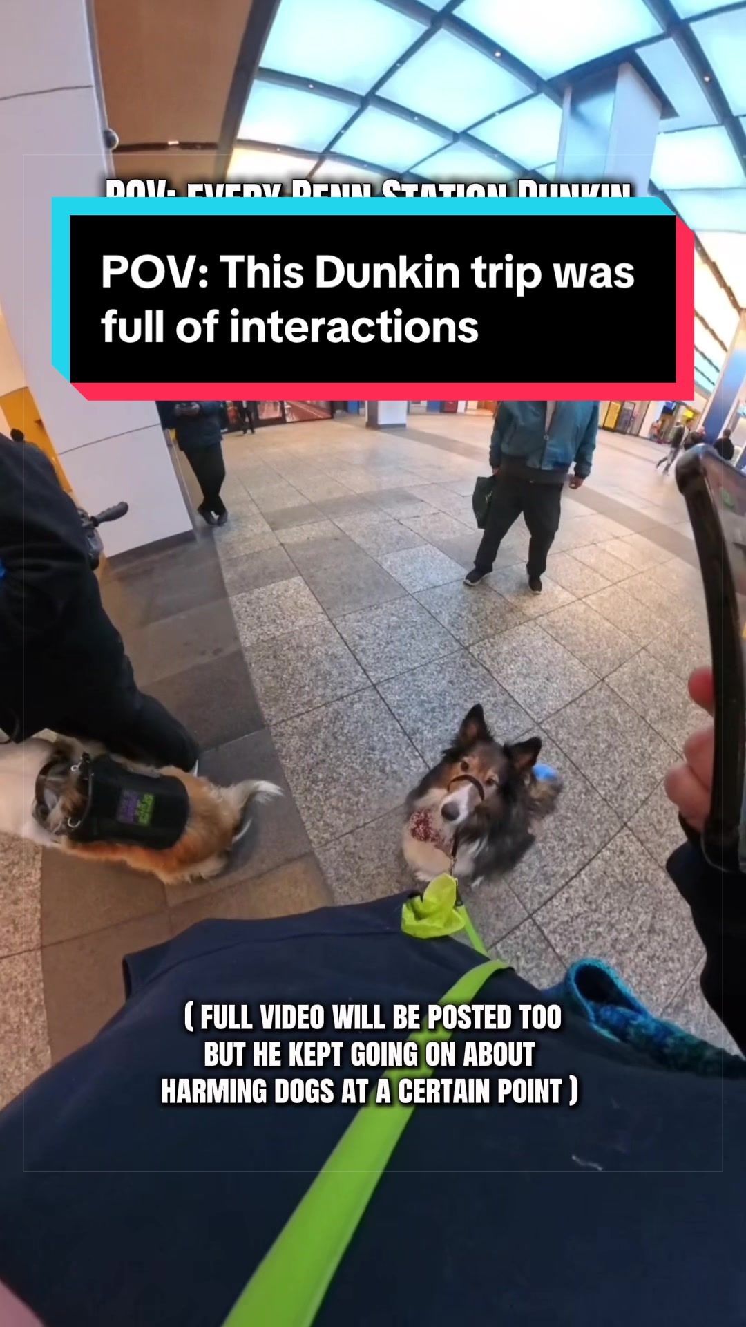 @Dakota & Pups