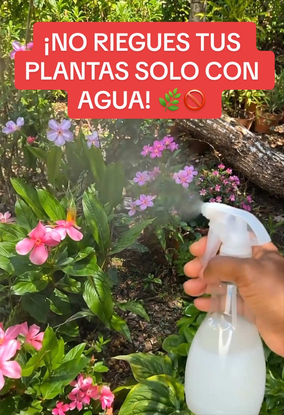@Consejos para tu casa y más