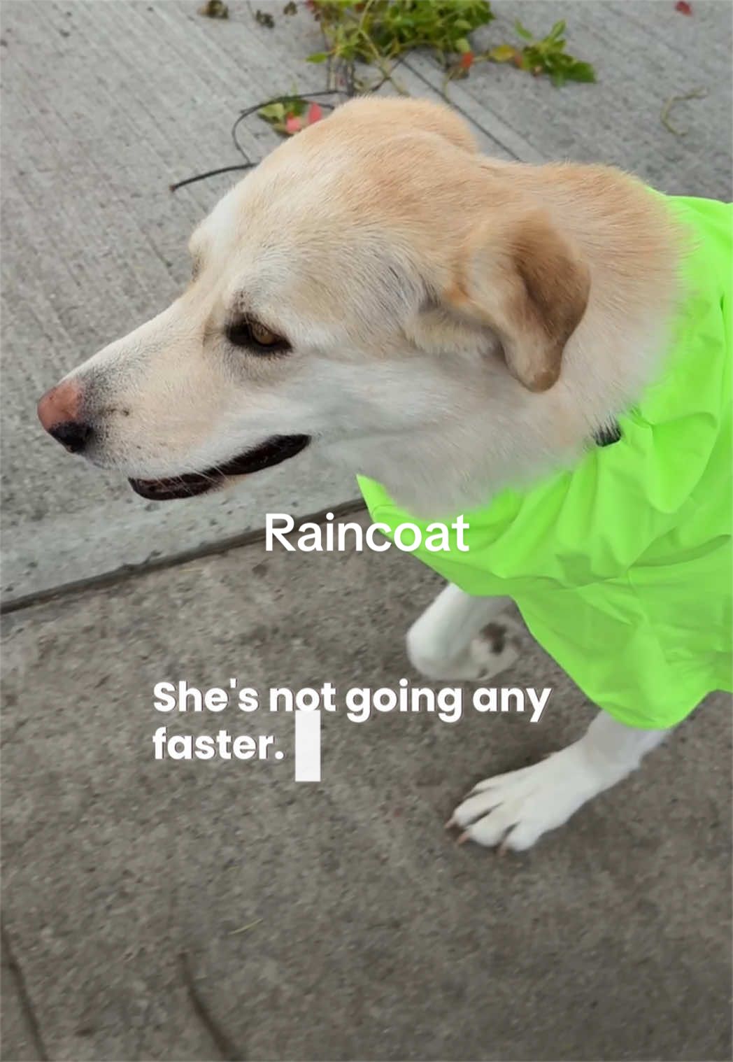 @natehyung