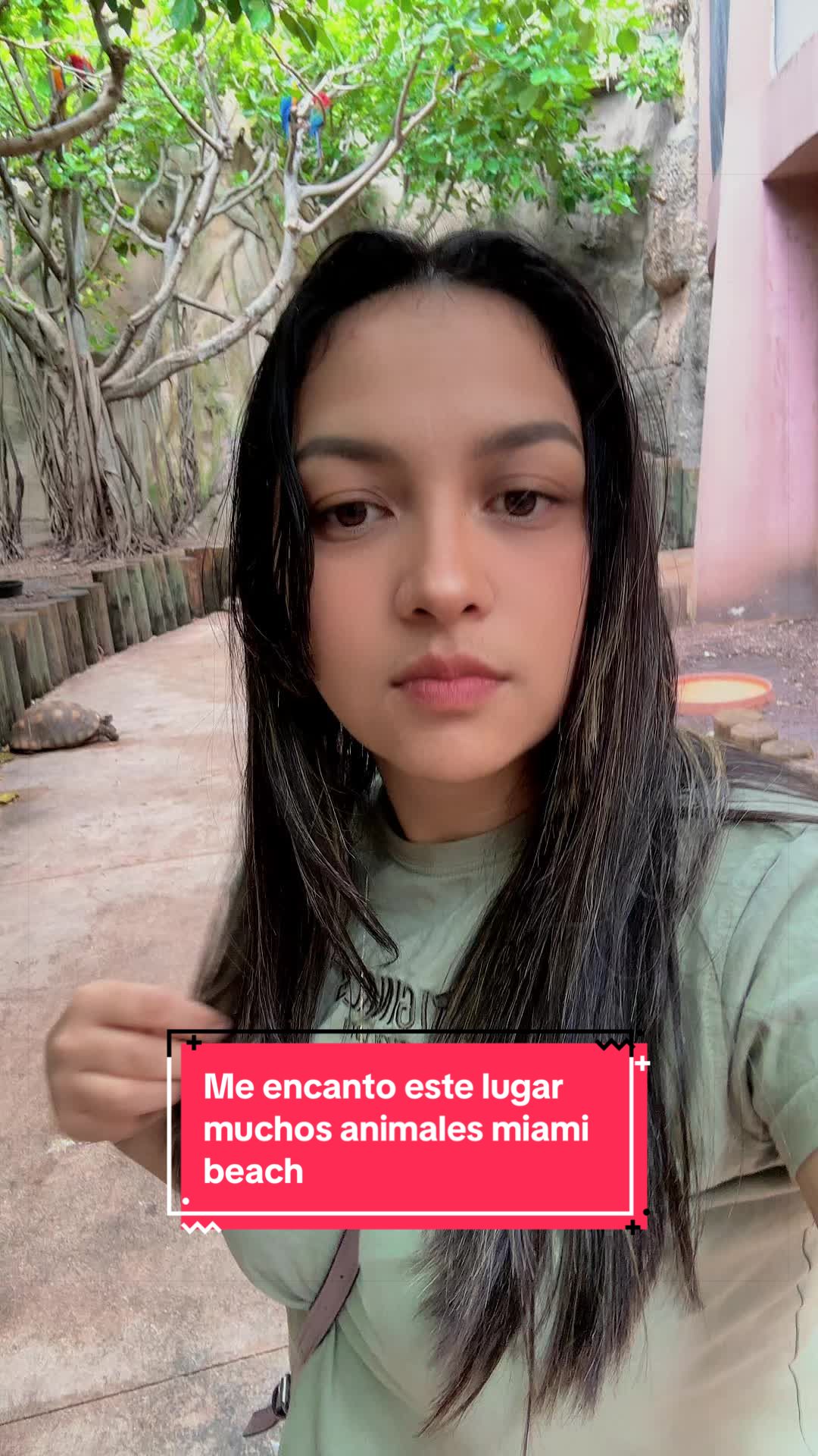 @🤪flaquita 503🇸🇻