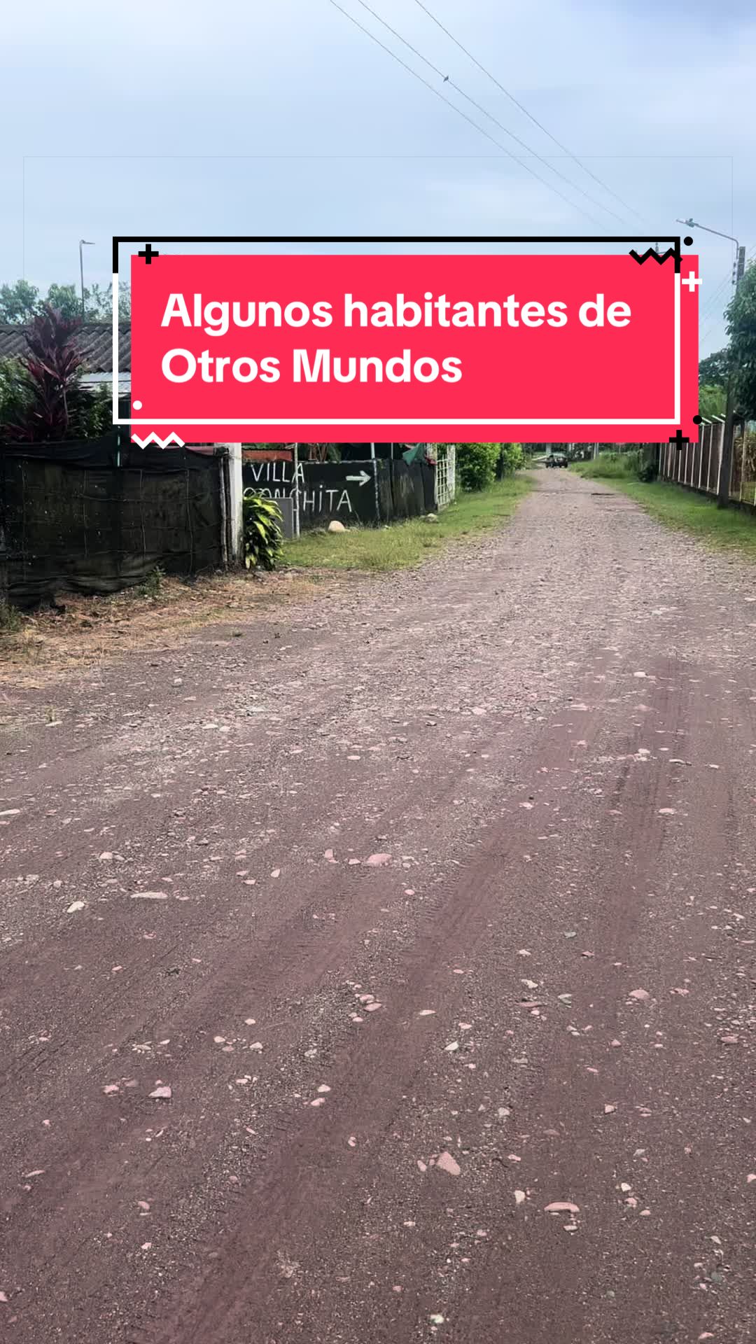 @Hikaru Camino de Luz