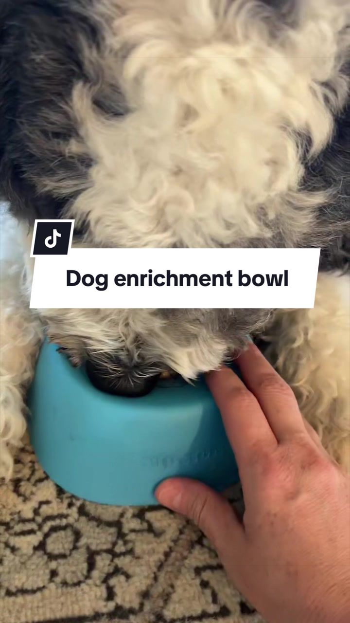 @Curlygingy