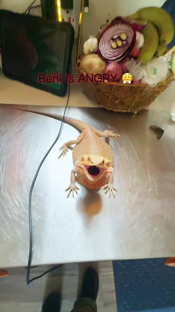 @Ani👸