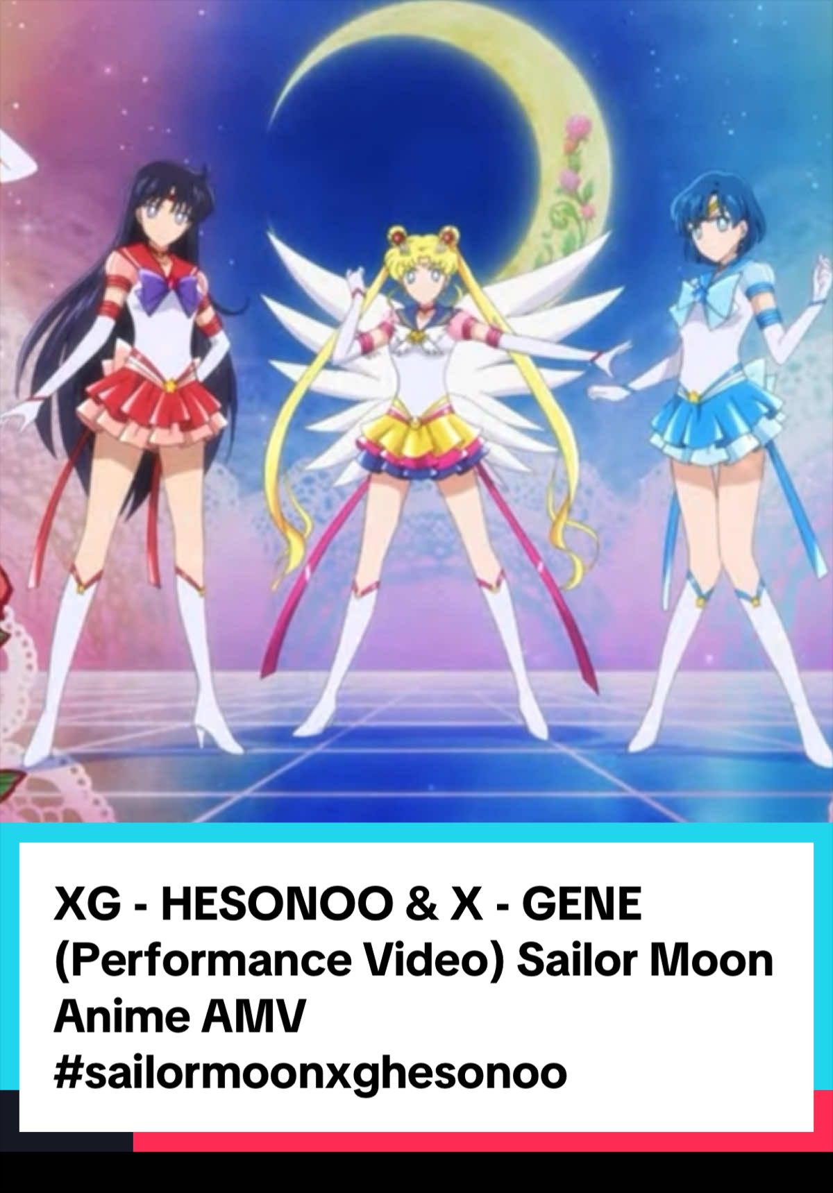 @FYC AMV