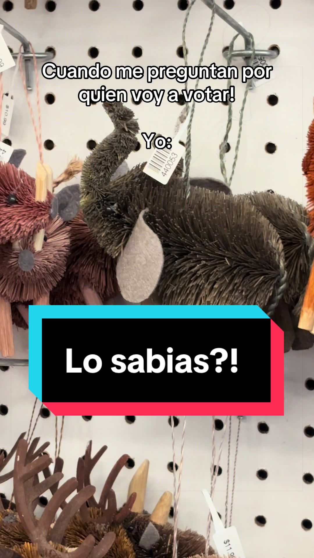 @Luz&Bay