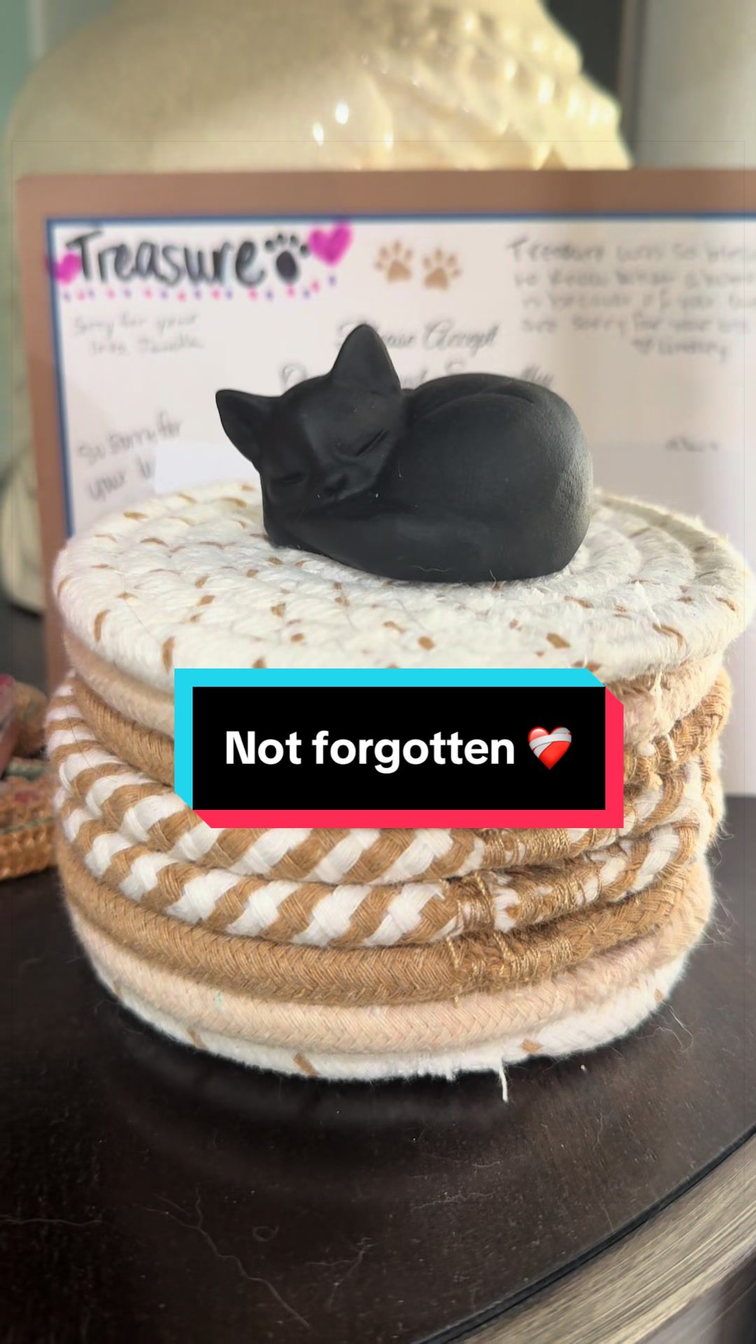 @Sundae and Mochi
