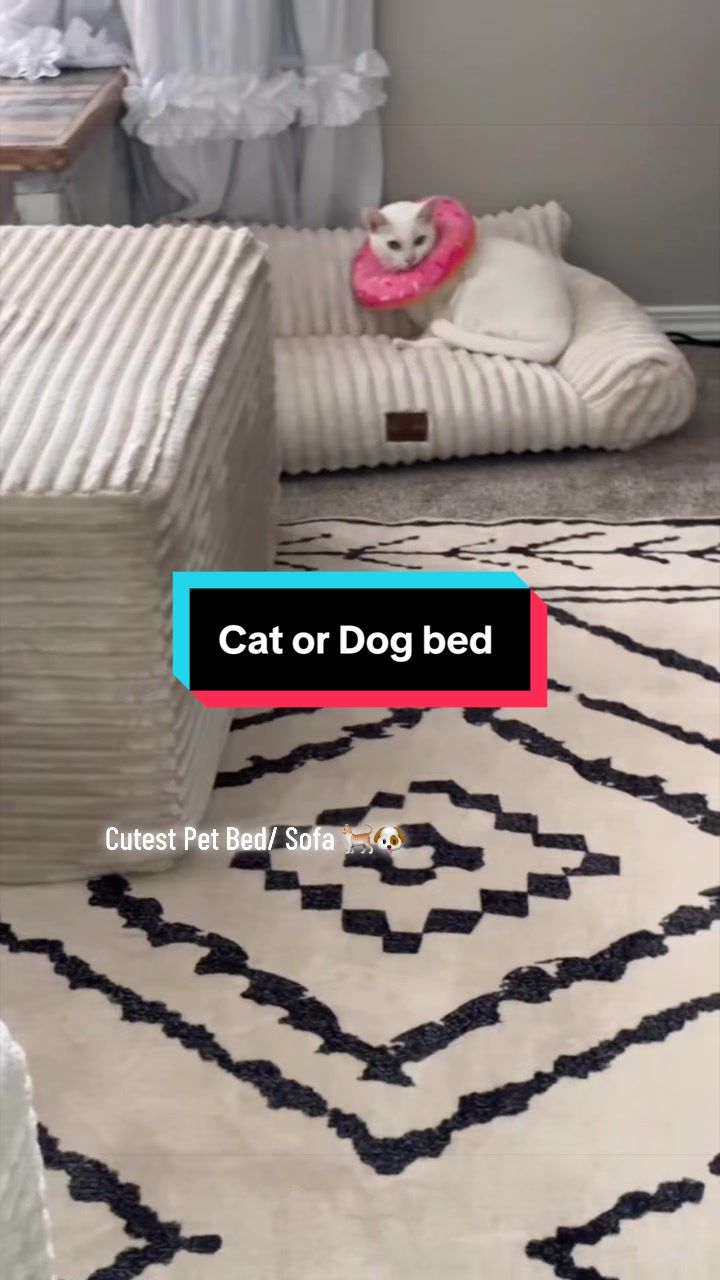 @sheroseanyway