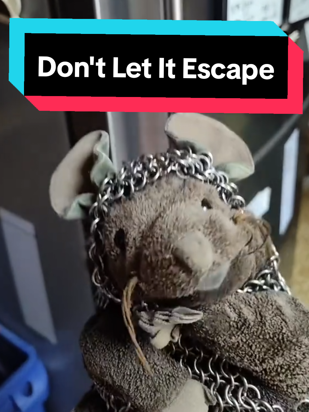 @Sir Mousecot