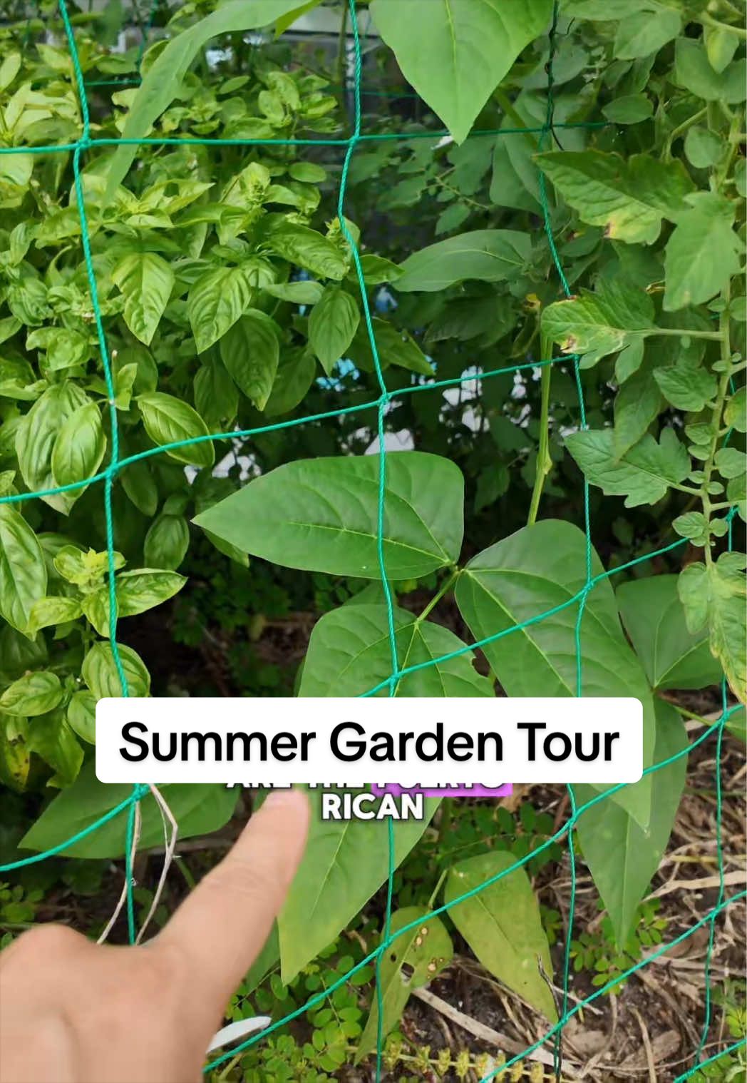 @Homegrown Florida