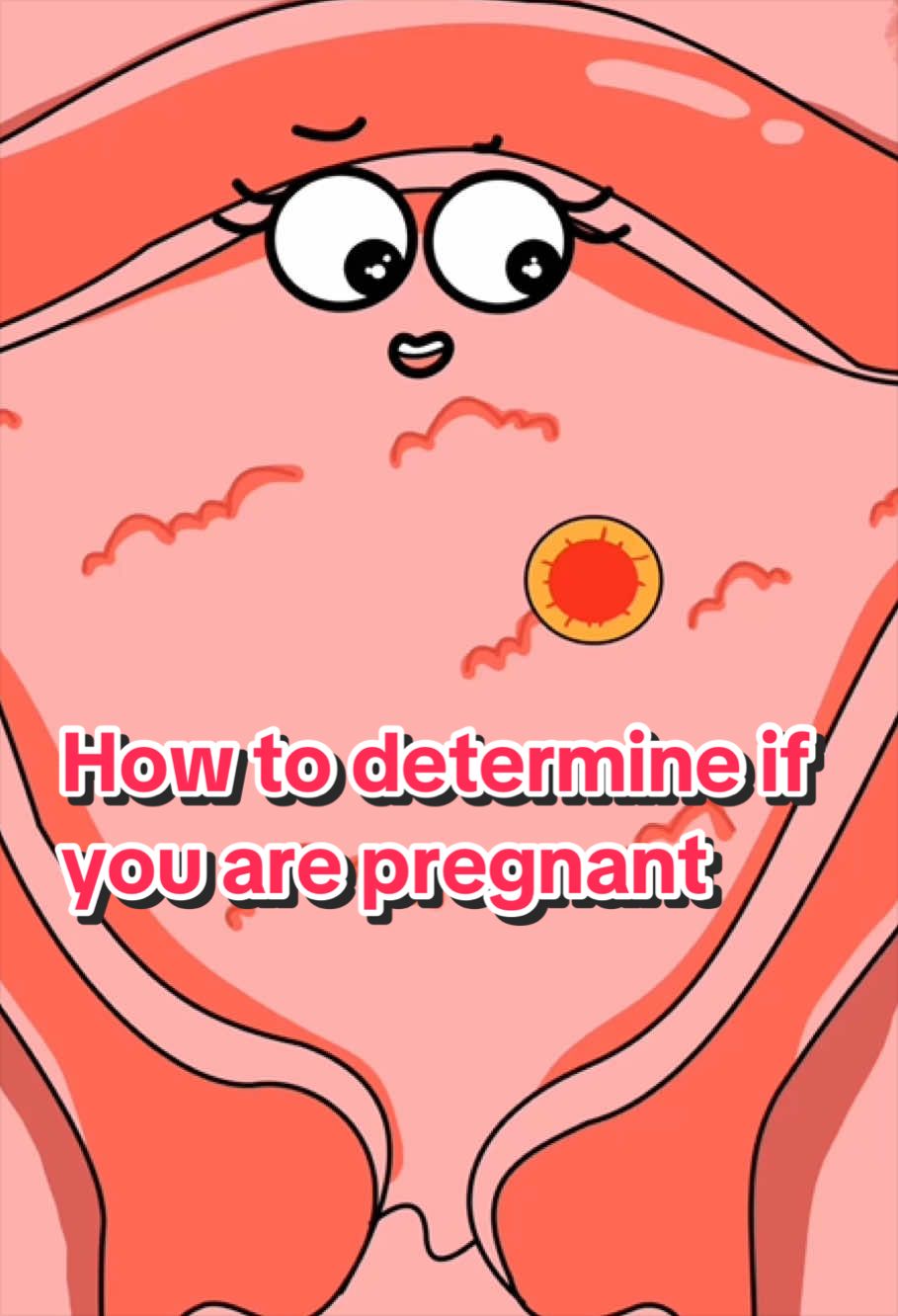 @Funny Animations
