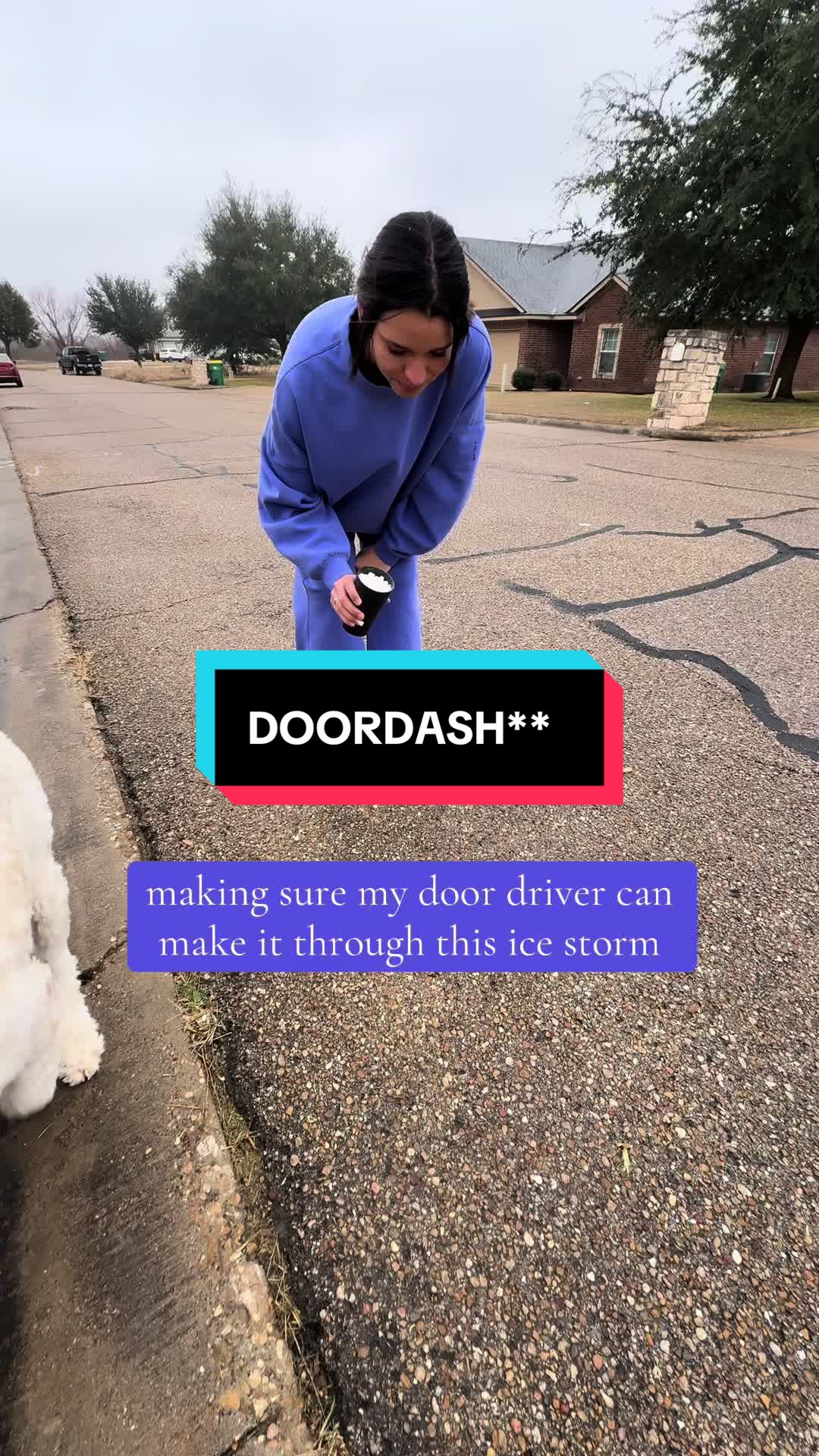 @vic🦥
