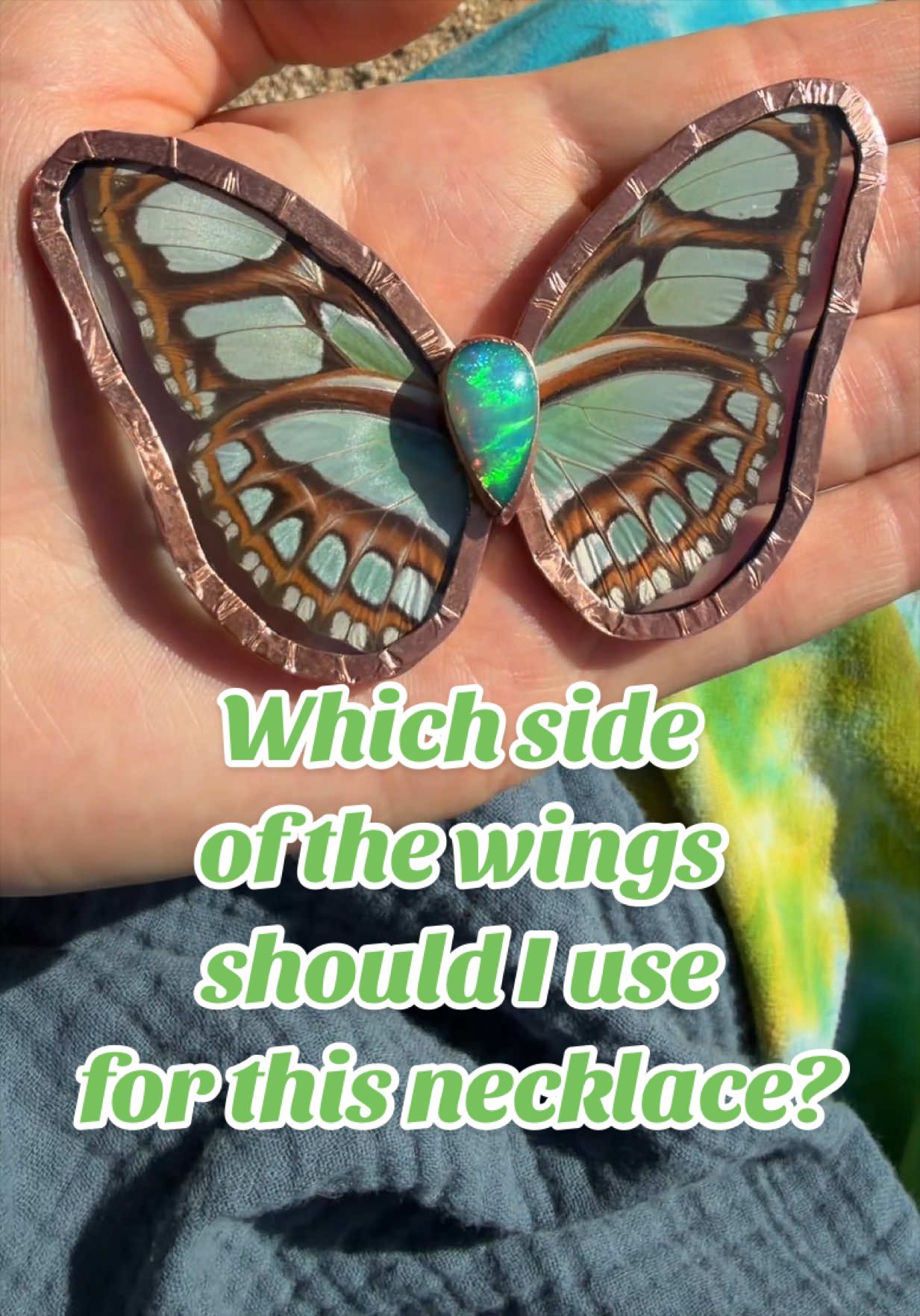 @Enchanted Wings