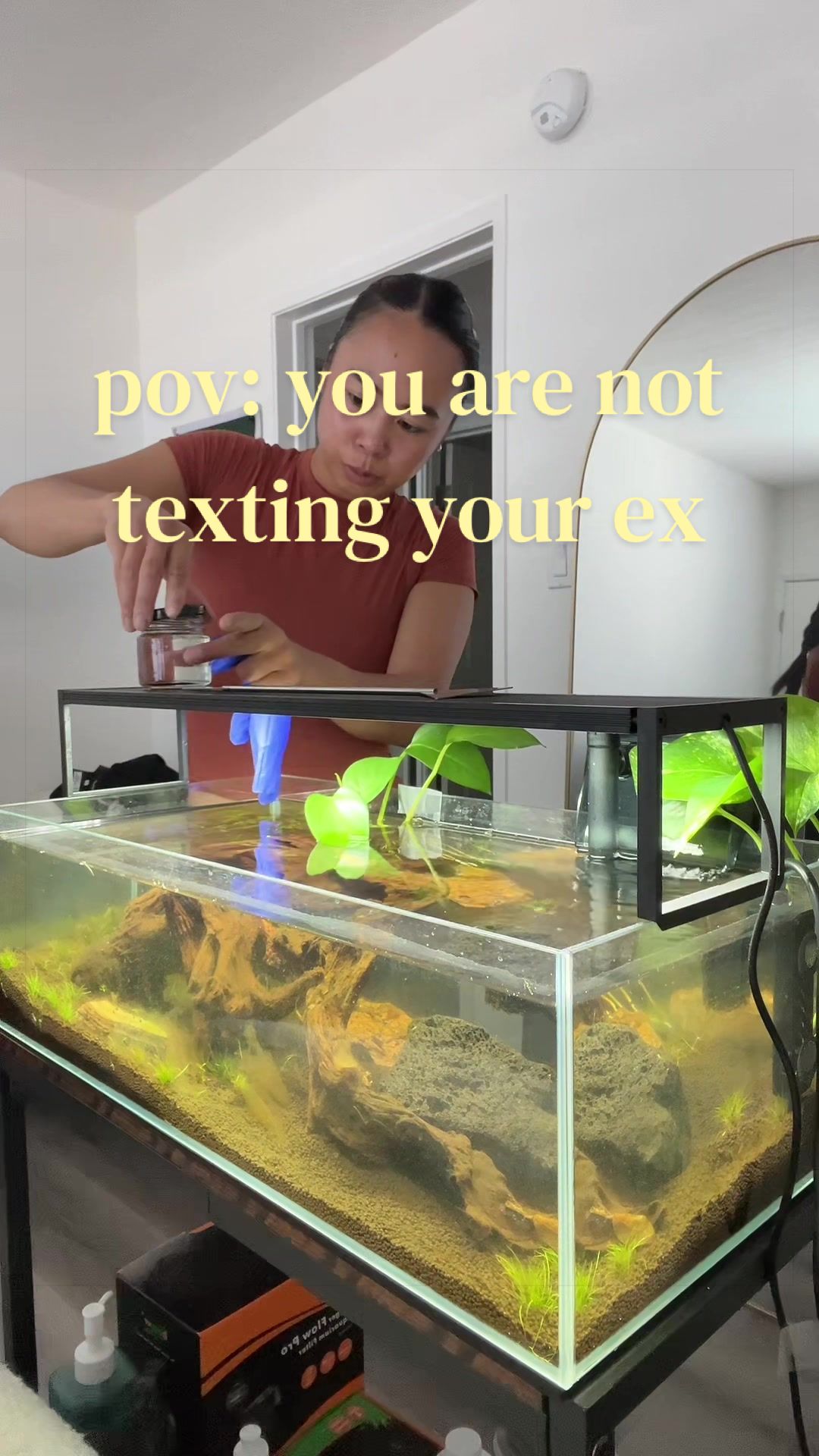 @chooks