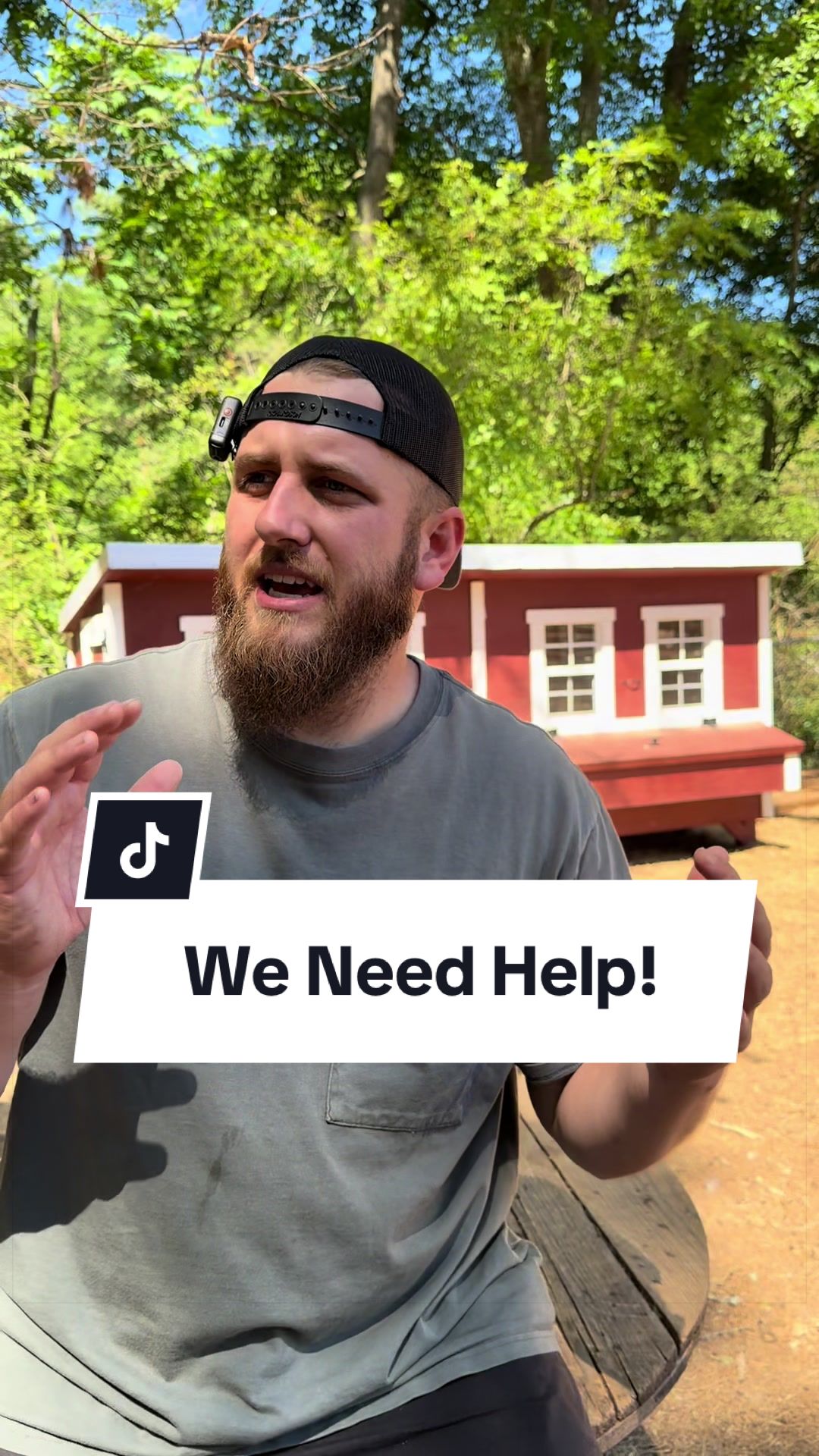 @Bandrhomestead
