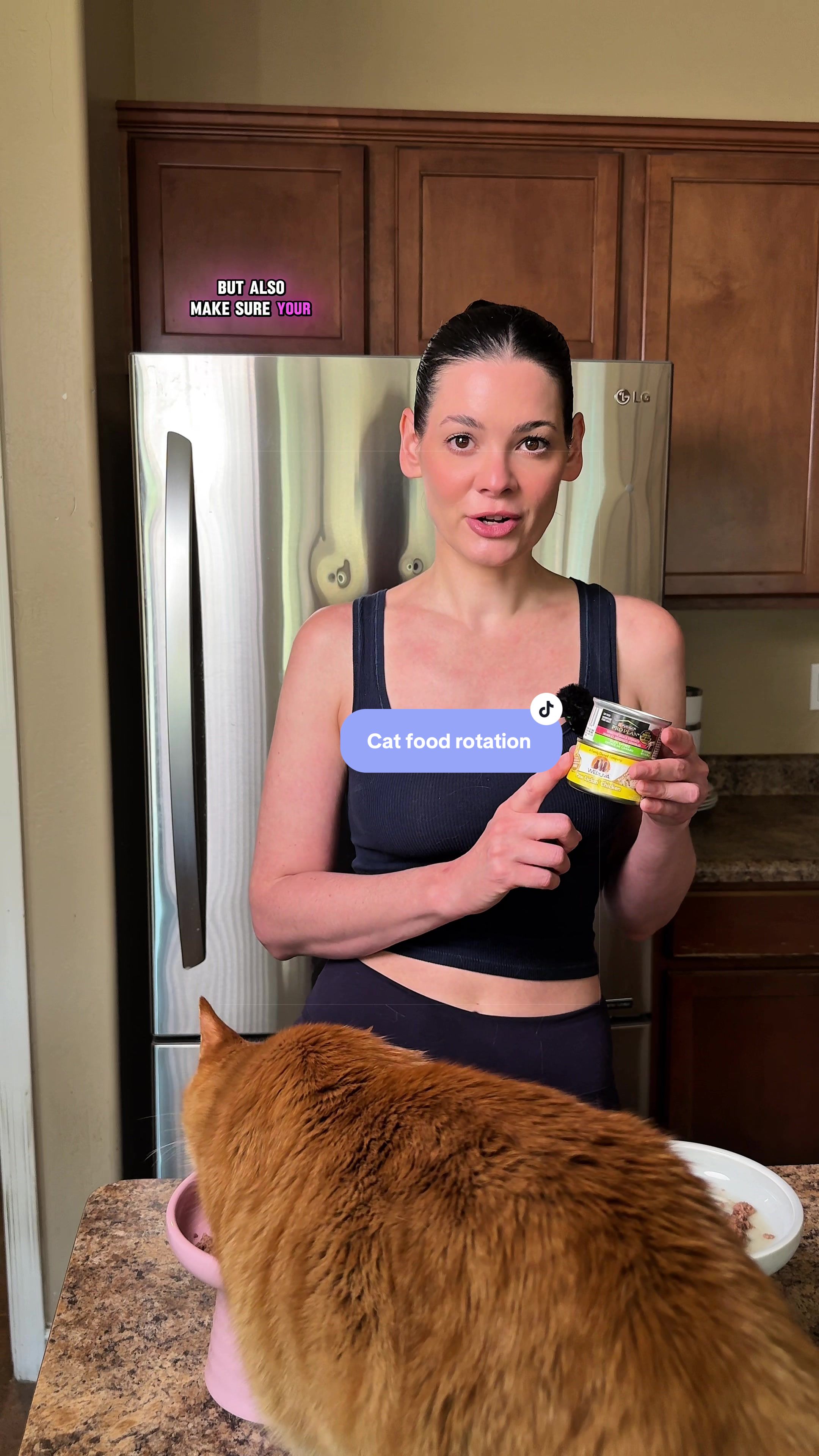 @Feminist Kitty | Cat Nutrition