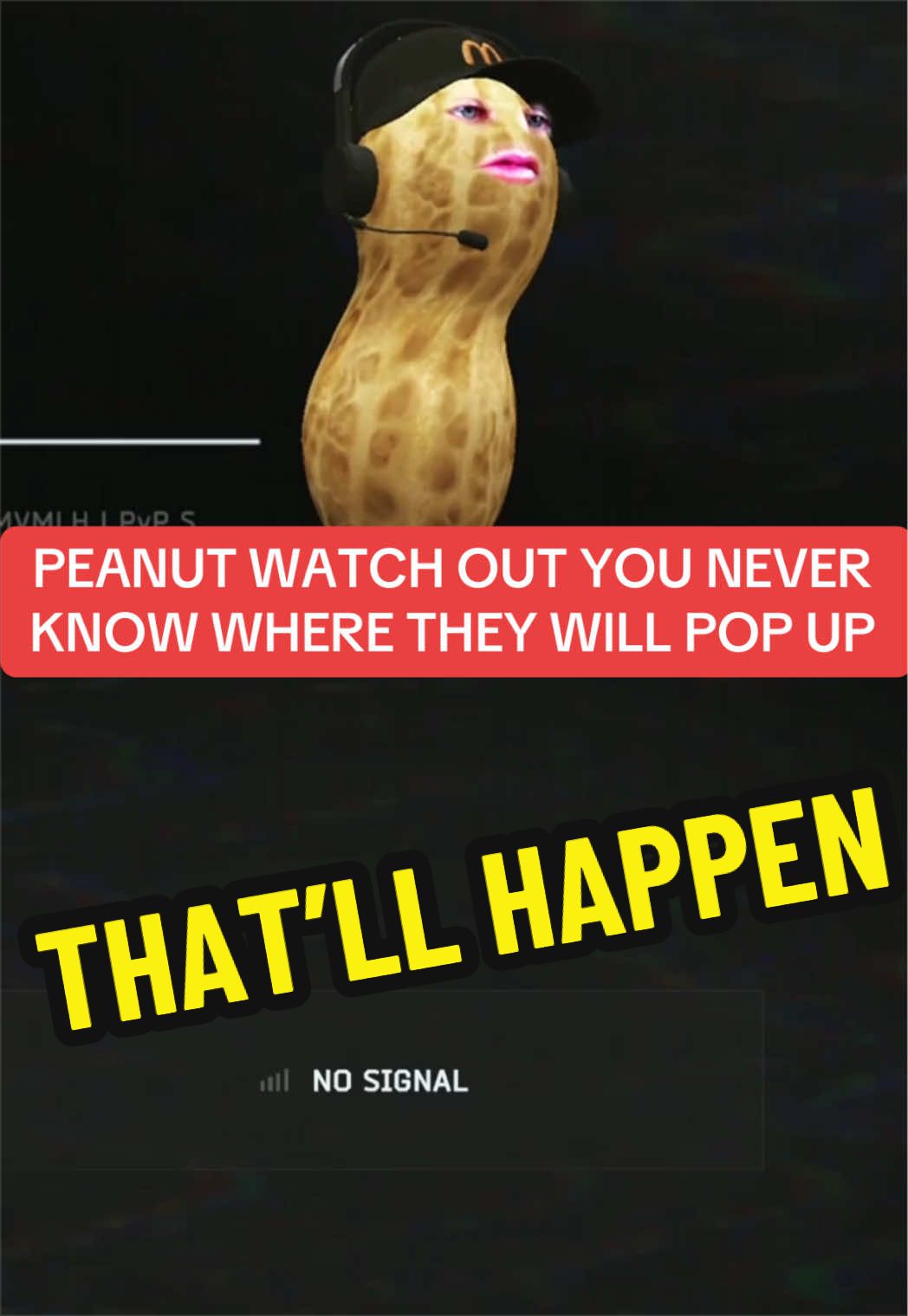 @Chronic Collector