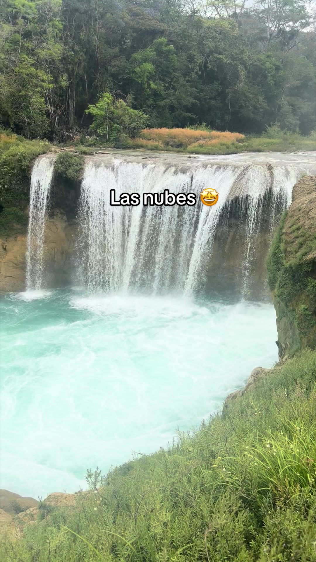 @Manuel