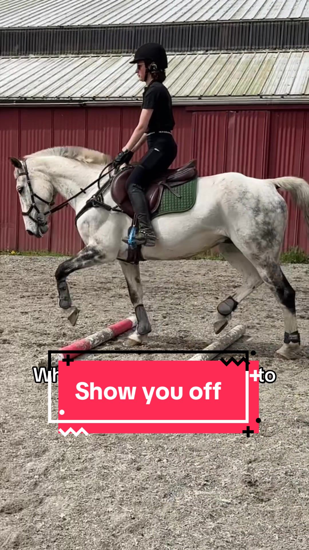 @BlueStarEquestrian