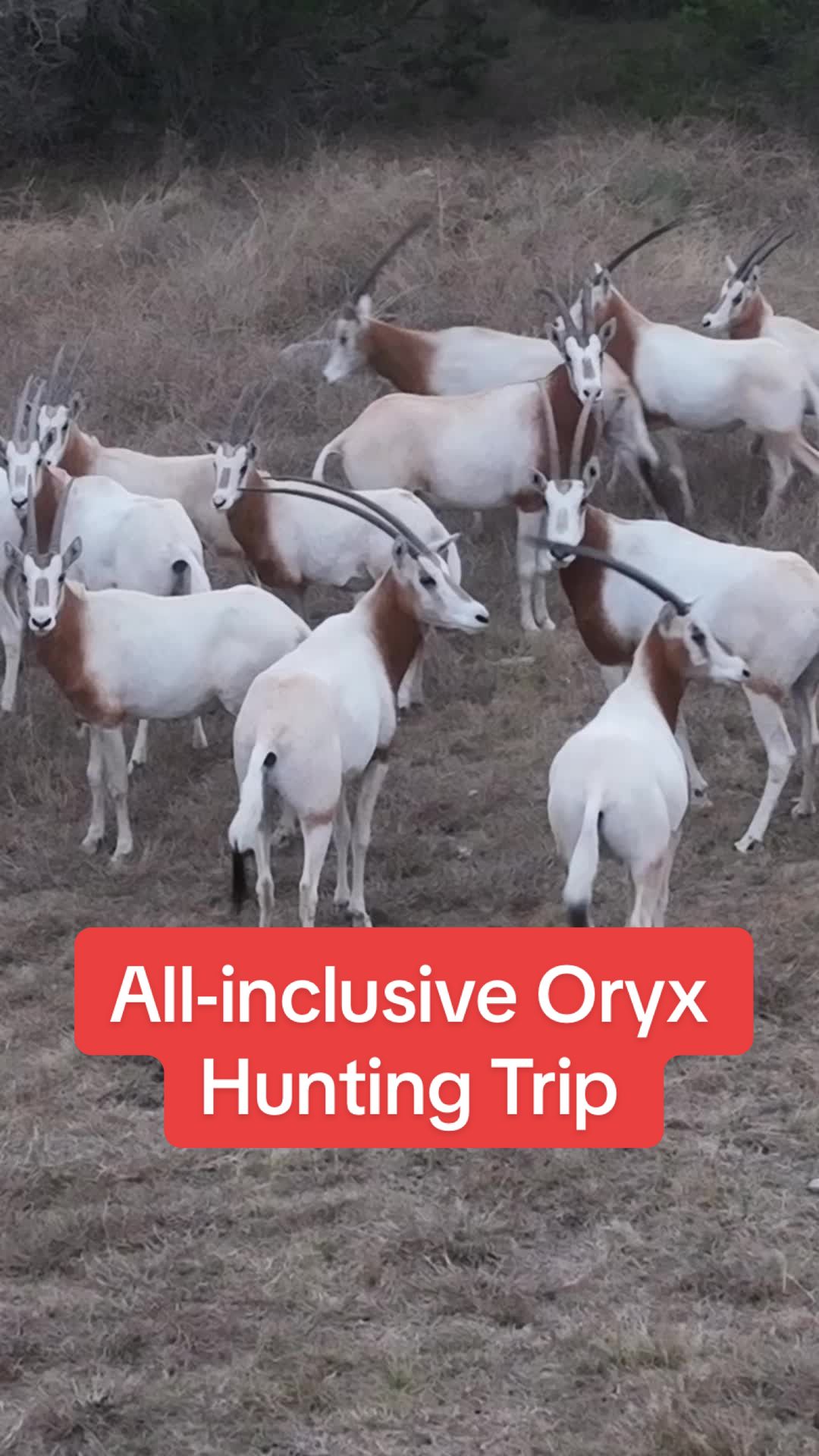 @Texaslandspecialist